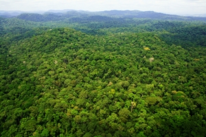 Above Ivindo National Park, central Gabon (Kath Jeffrey)